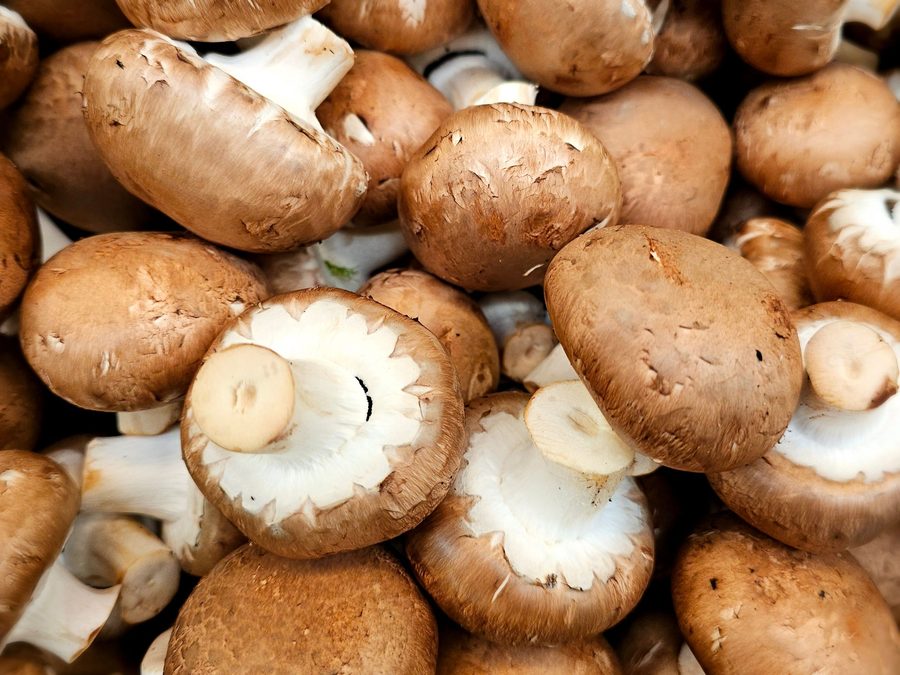Cremini mushrooms