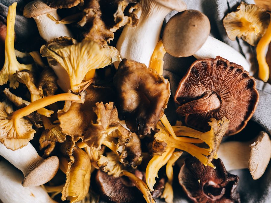 Maitake mushrooms