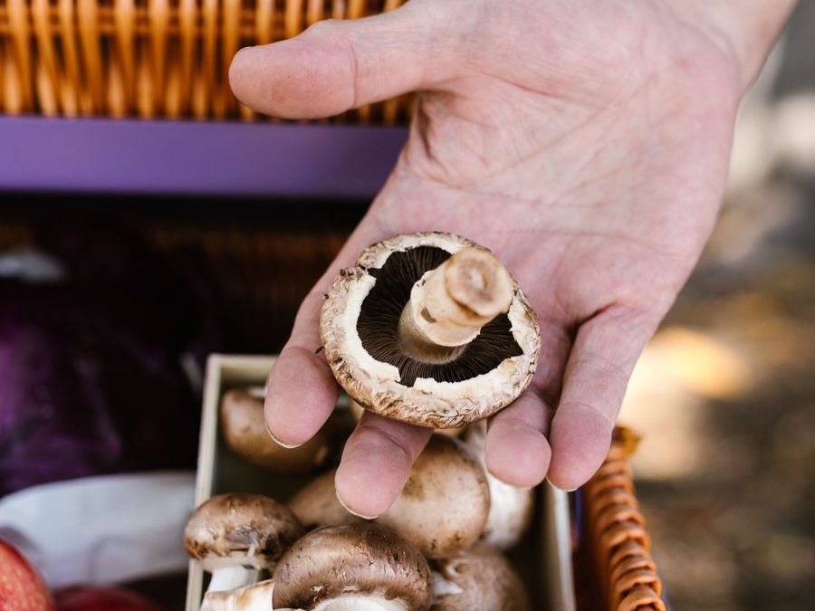 Portobello mushrooms